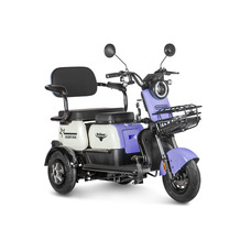 Rutrike Gelbert Vega 48/60V (фиолетовый) Rutrike Gelbert Vega 48/60V (фиолетовый)