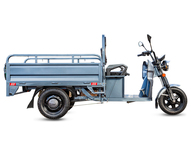 Электротрицикл Rutrike Мастер 1500 60V1200W