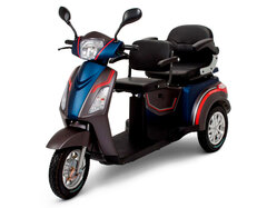 Trike DUAL 650W 60V Trike DUAL 650W 60V